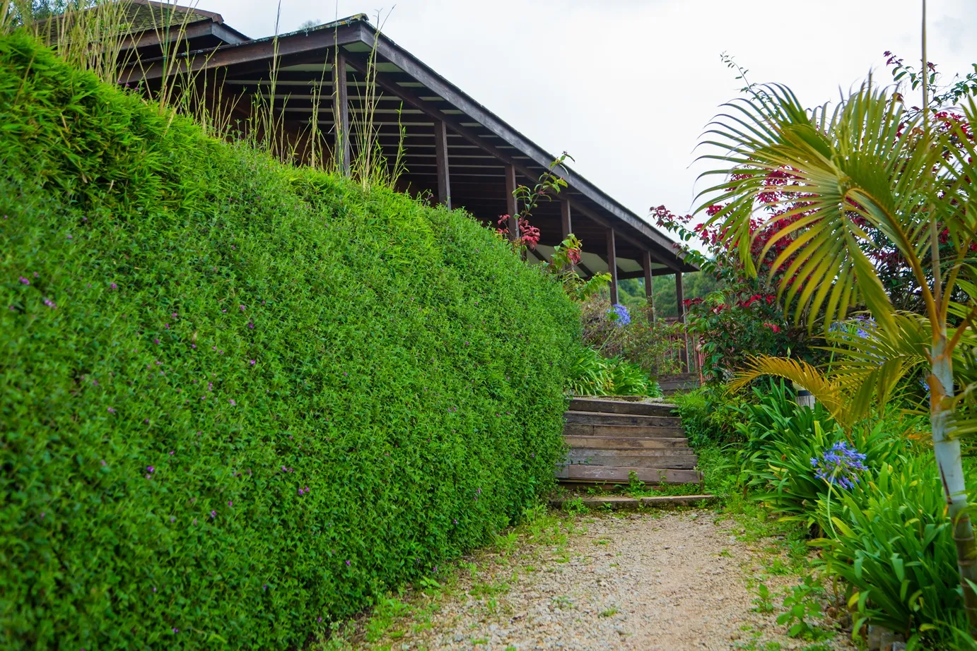 Arcadia Lodge Lake Bunyonyi photo 37