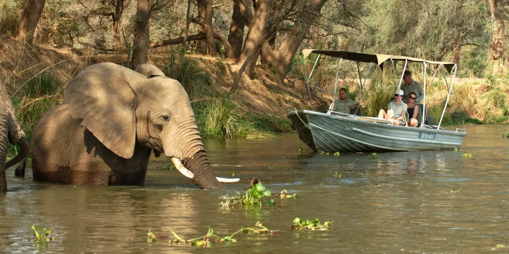 Lower Zambezi River Expedition
