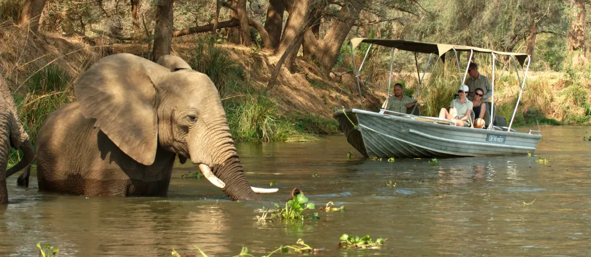 Lower Zambezi River Expedition