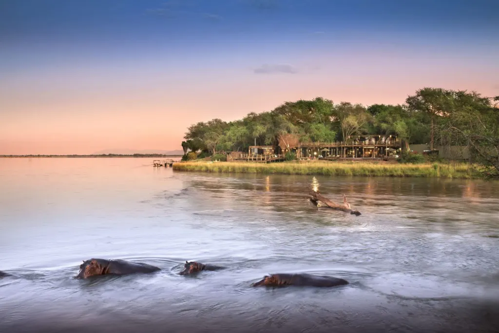 Luangwa & Lower Zambezi