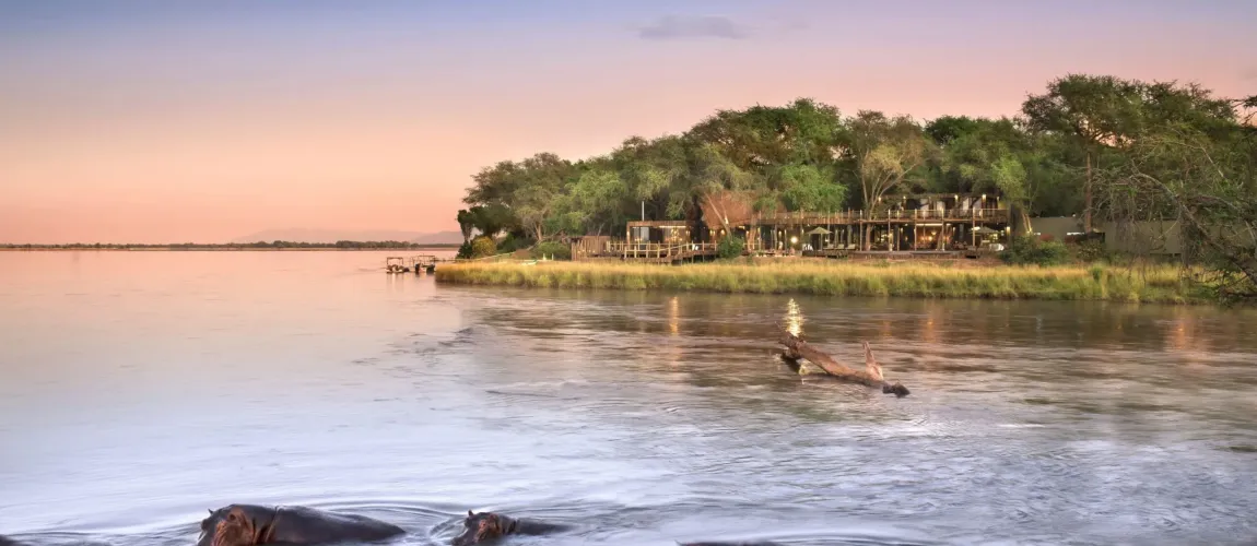 Luangwa & Lower Zambezi