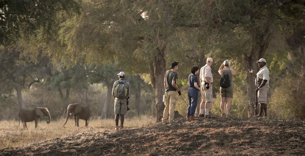 Mana Pools Walking Expedition