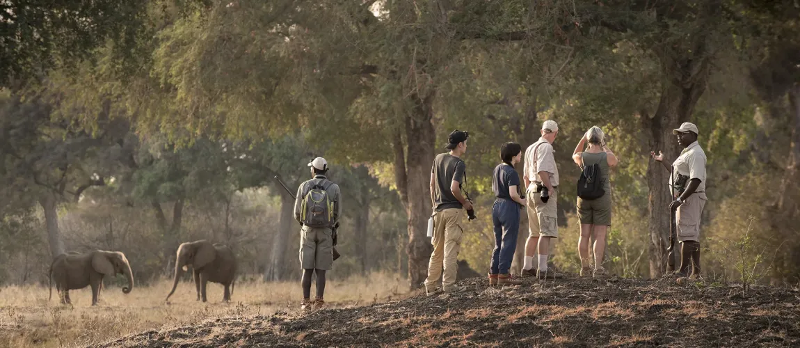 Mana Pools Walking Expedition