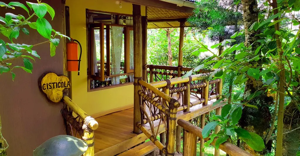Ichumbi Gorilla Lodge photo 10