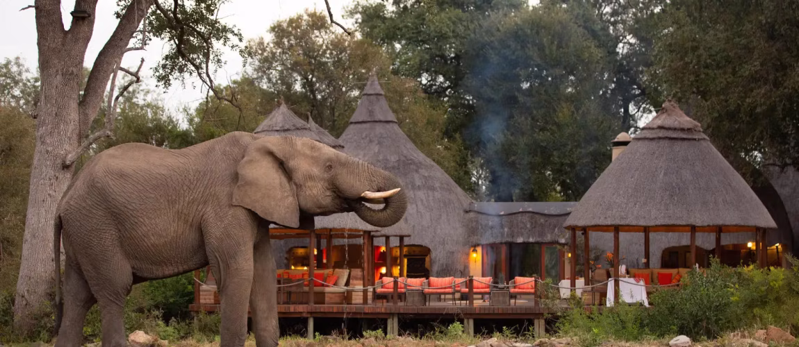 Ultimate South Africa Safaris Guide (2026): Packages, Prices, Kruger, Big Five & Best Time to Visit