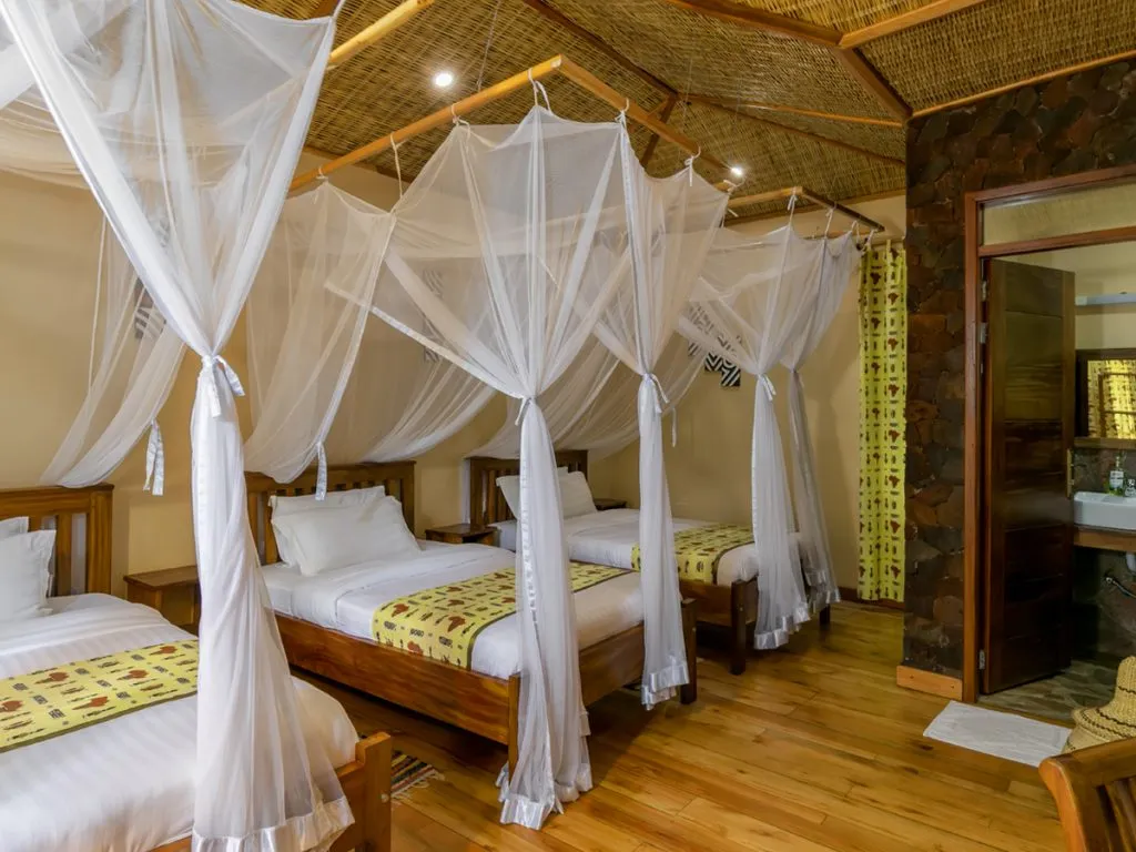 Ichumbi Gorilla Lodge photo 3
