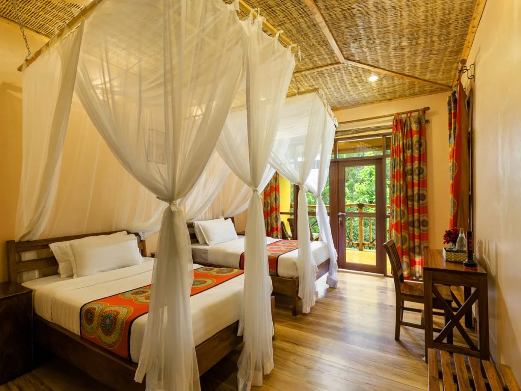 Ichumbi Gorilla Lodge photo 4