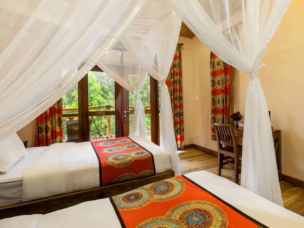 Ichumbi Gorilla Lodge photo 2