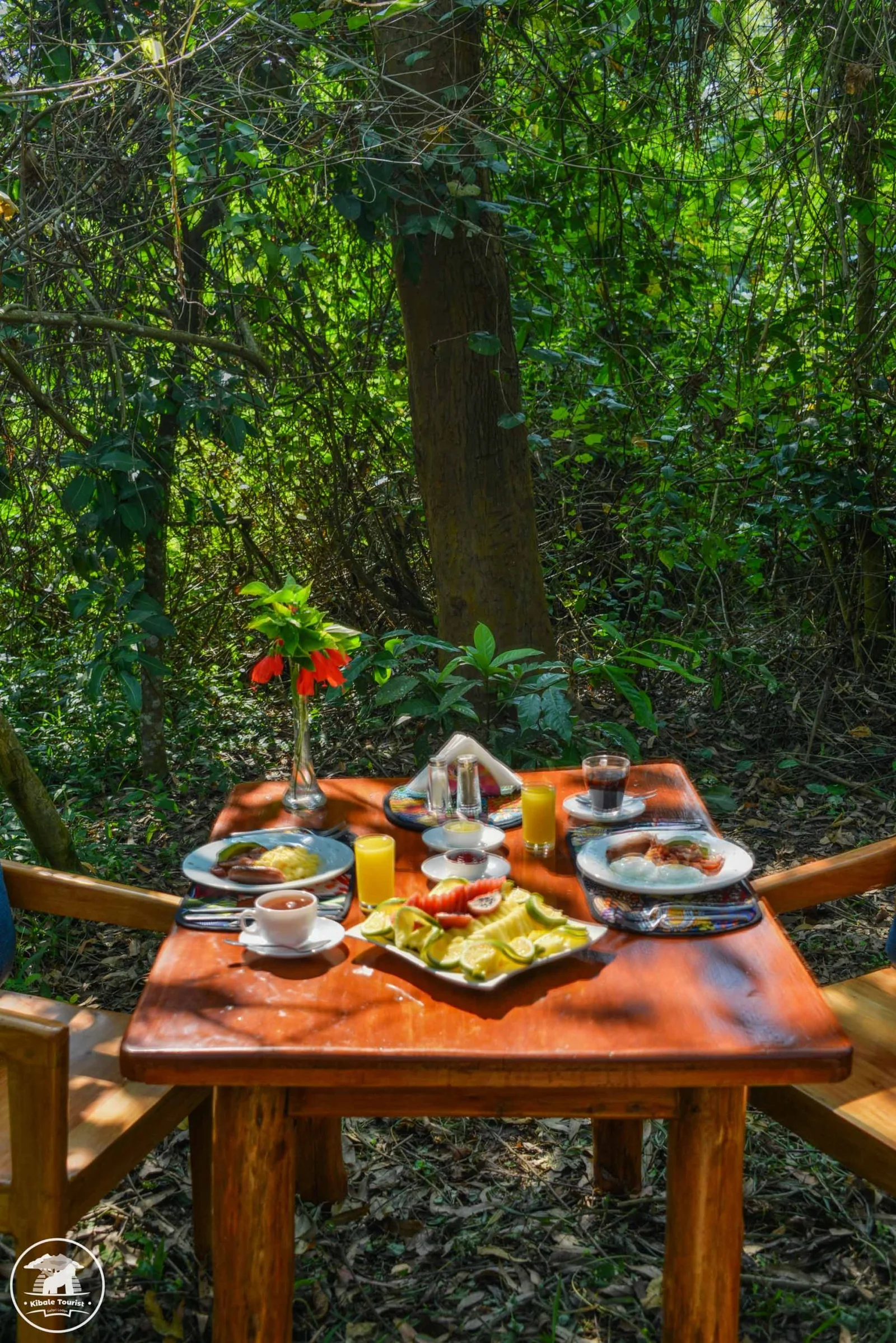 Kibale Tourist Lodge Photo 11