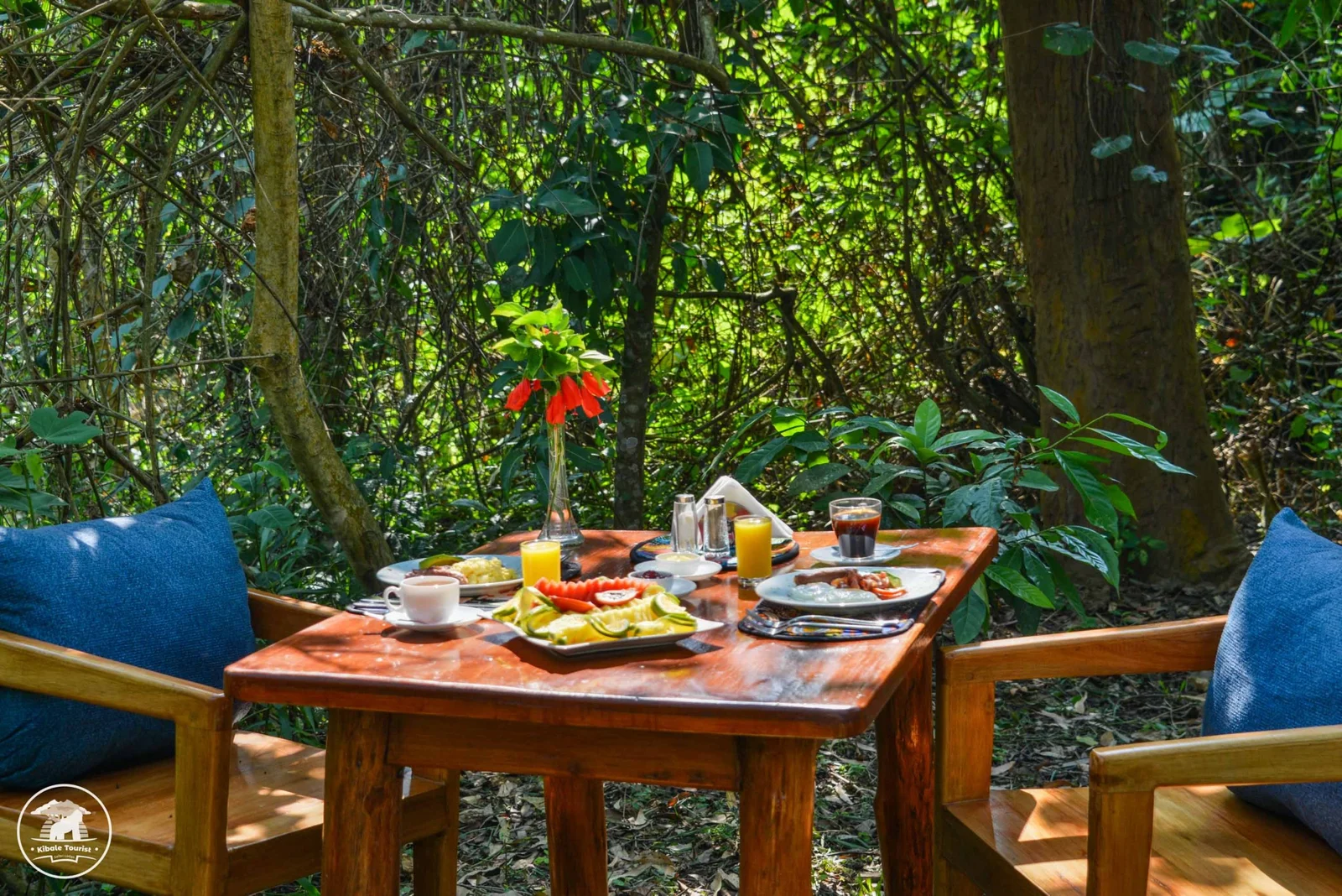 Kibale Tourist Lodge Photo 12