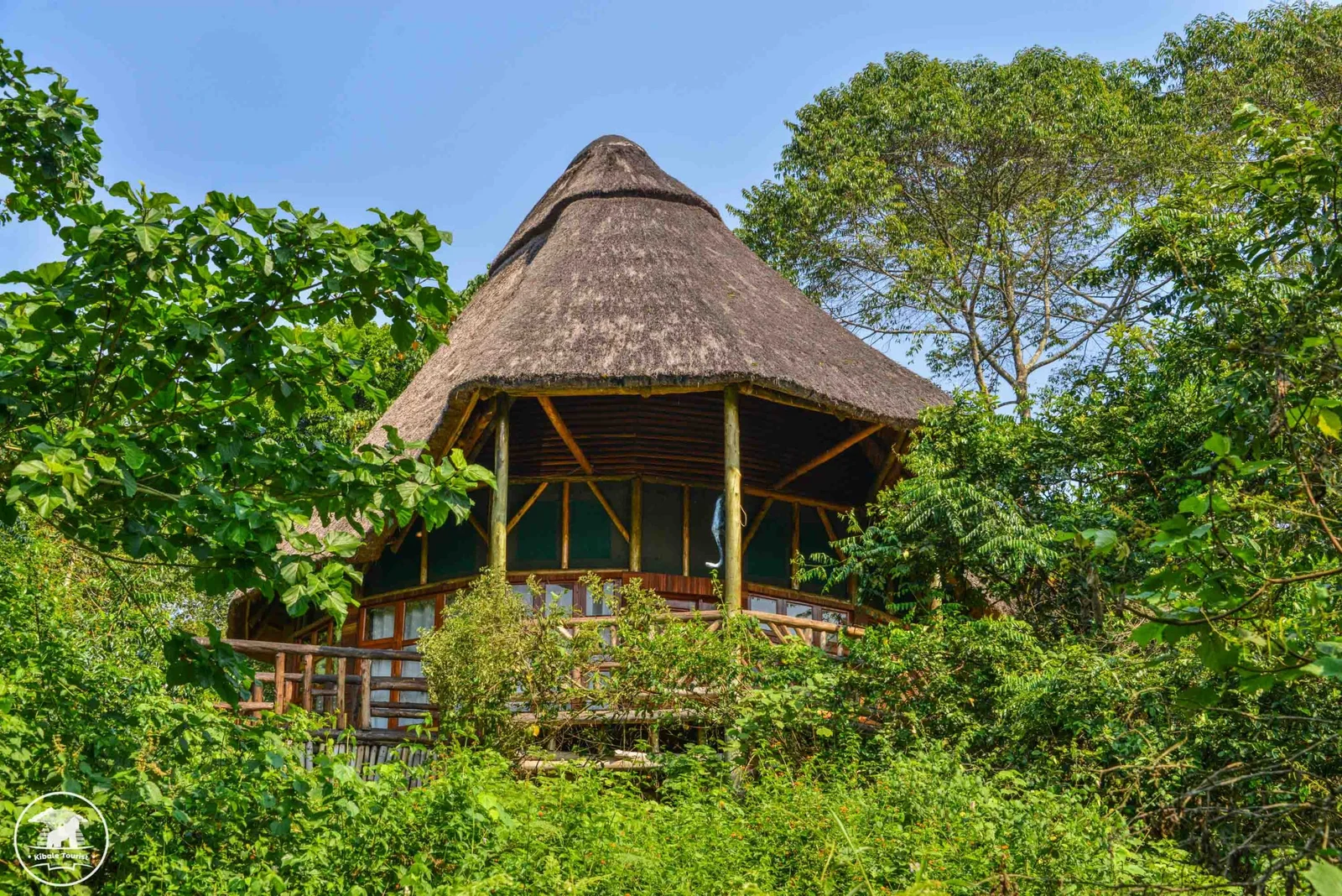 Kibale Tourist Lodge Photo 13