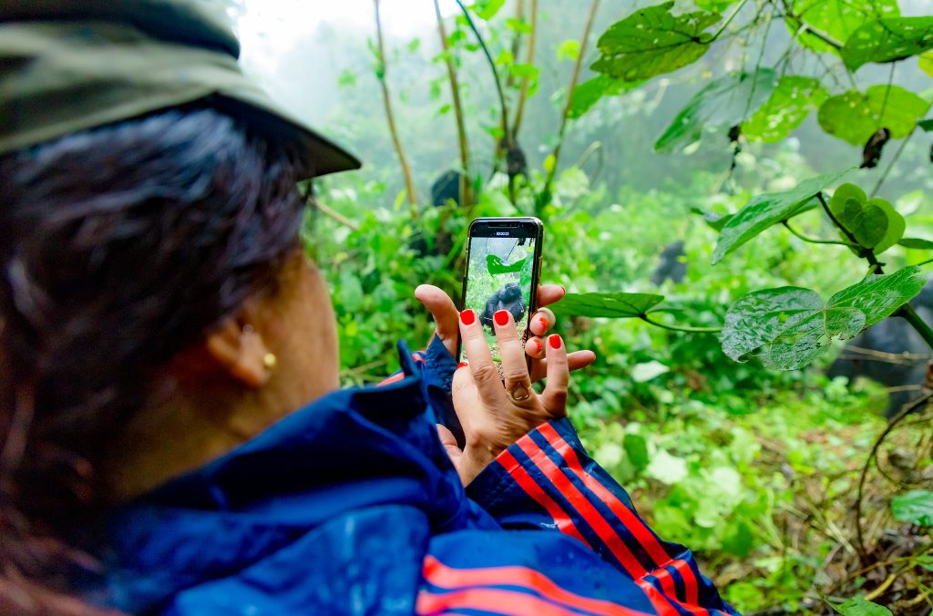 Mountain Gorilla Trekking in Africa: Ultimate 2026 Guide