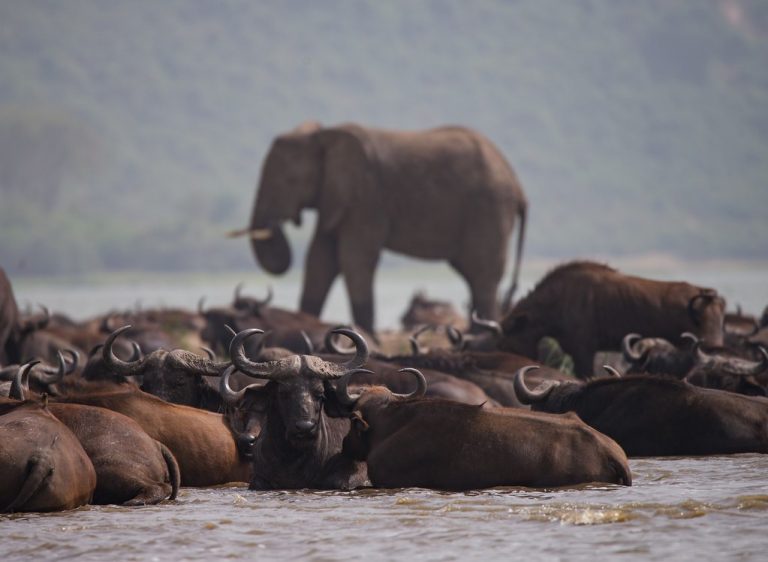 Kazinga Channel