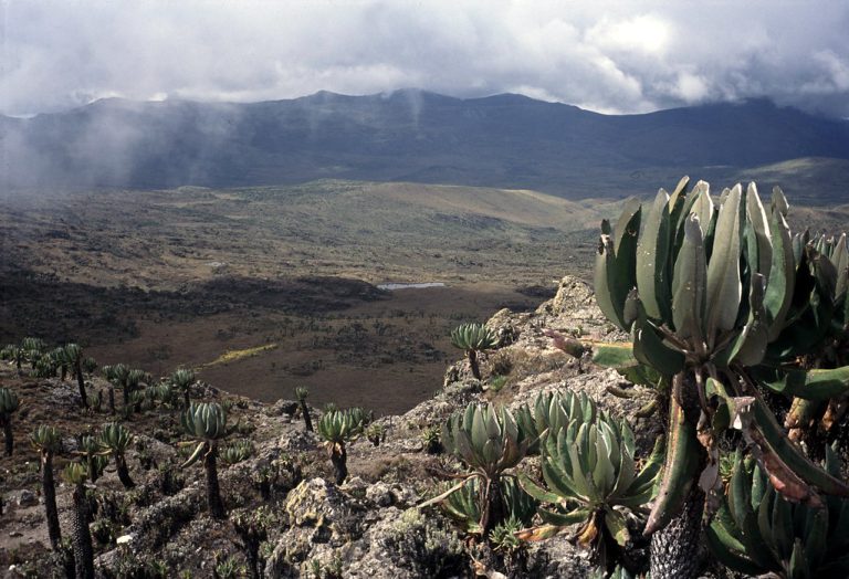 Mount Elgon caldera