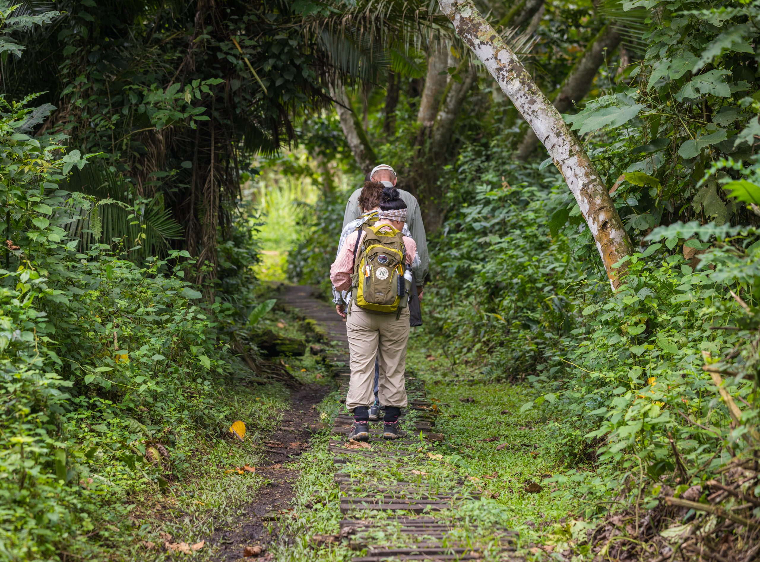 Kibale National Park