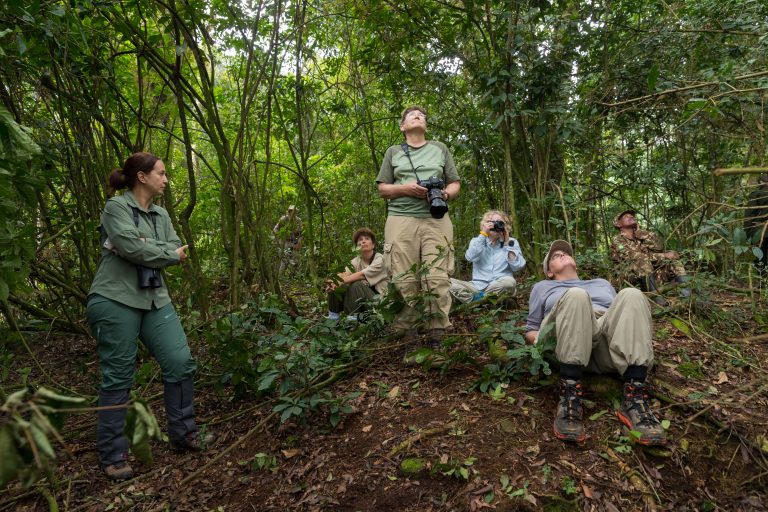 Bwindi forest trails