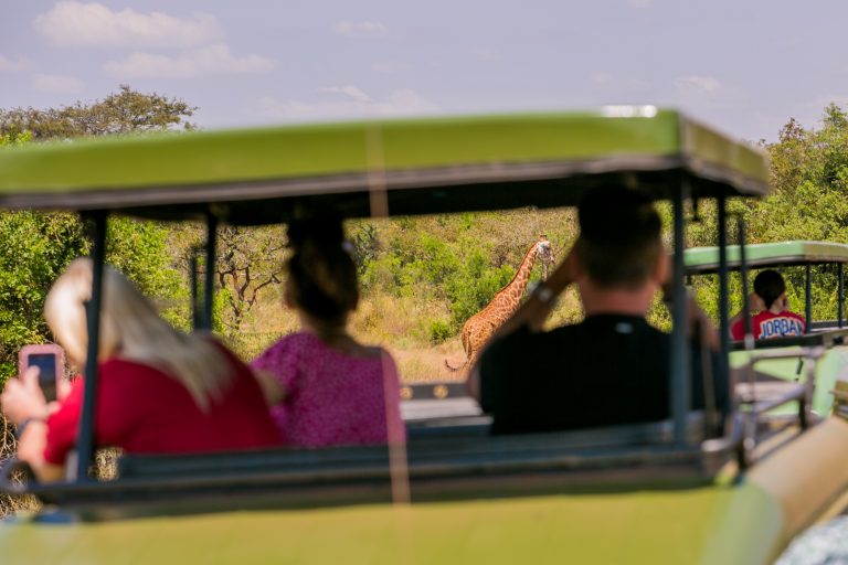 Rwanda Wildlife Safari: Akagera, Big Five & Forest Adventures