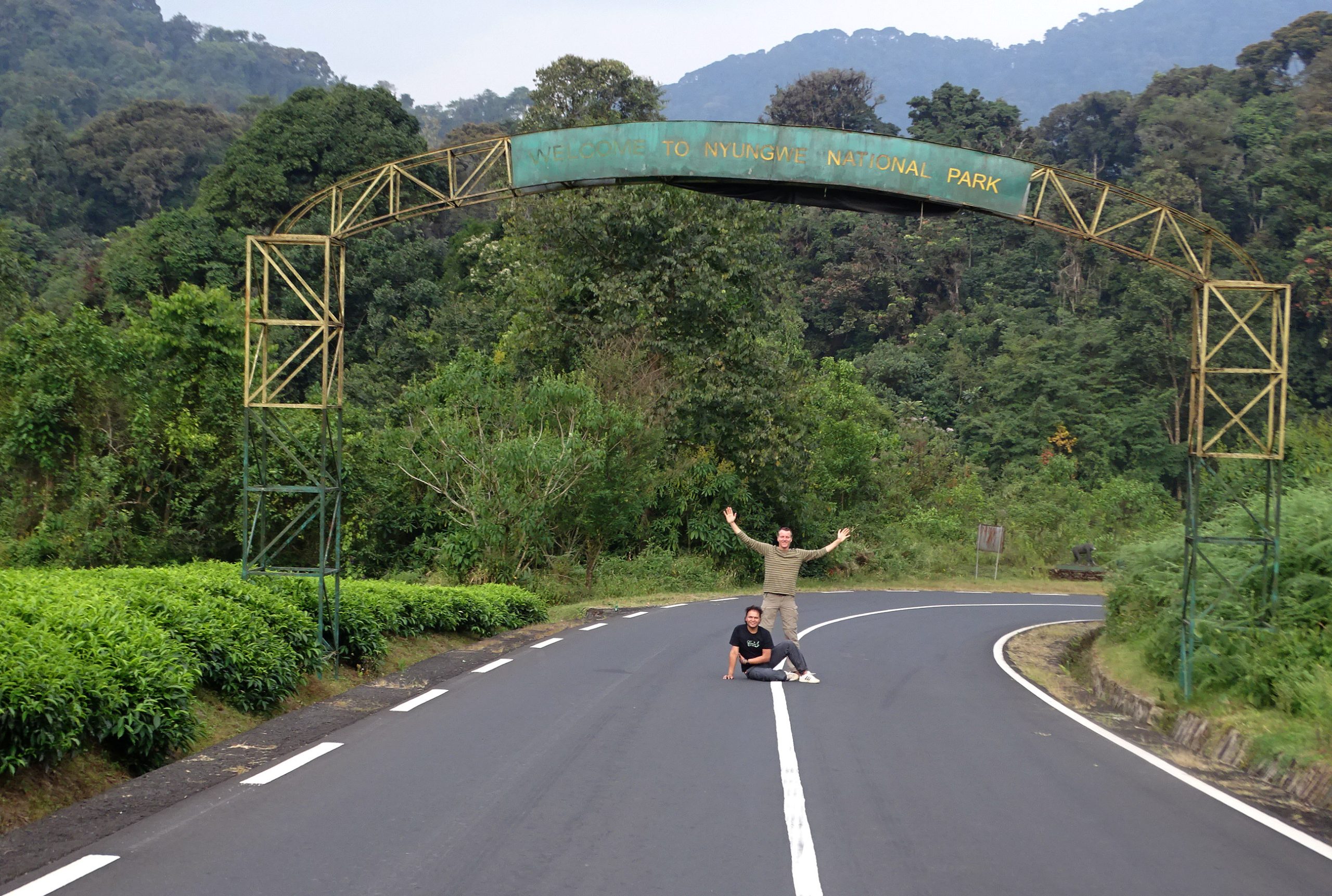 Nyungwe Forest National Park