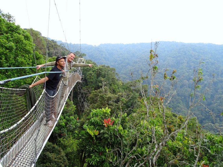 Nyungwe canopy walkway